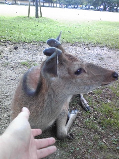 �ޗǂ̎��ƋY��Ă���