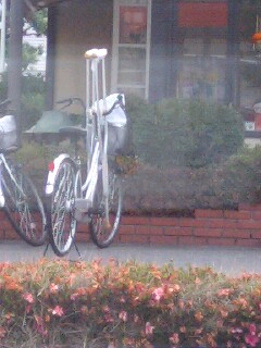 �J�̓��A�t�@�~���X�̒��֏�