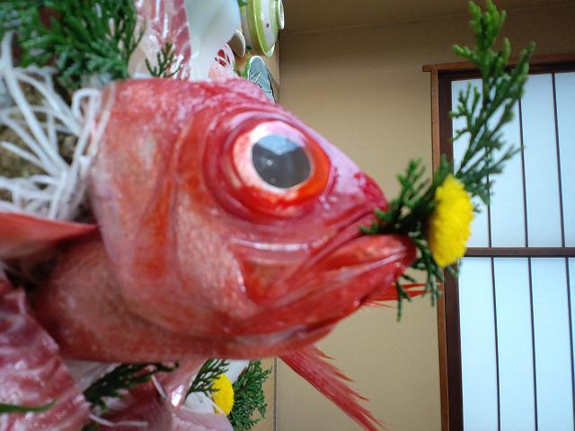 �����ڂȕꂪ