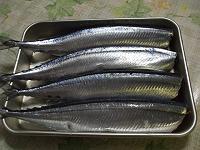 �H����������