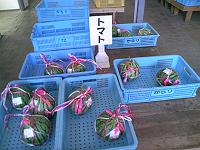 �g�}����g�H