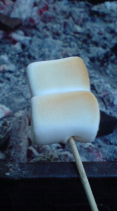 �Ղ�����ӂ��