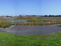 �k��(�ڂ���)�V���r