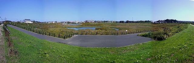 �k��(�ڂ���)�V���r