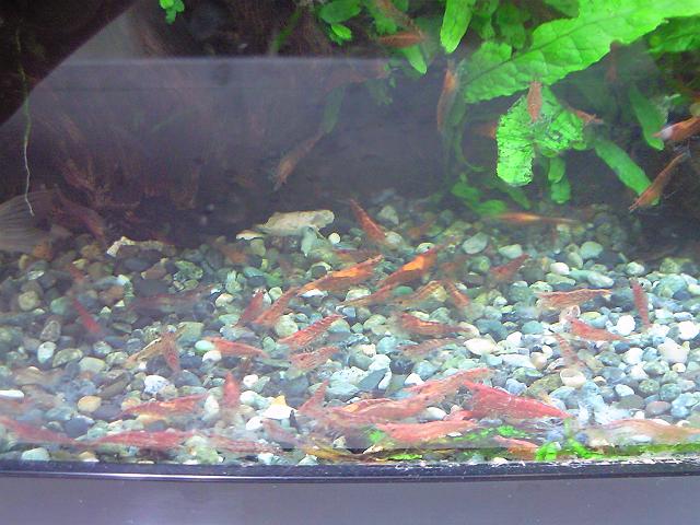 �G�r������������