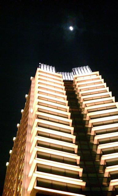 �y�j���V����