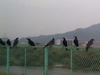 �s��̂ł���A��