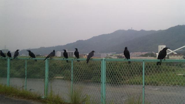 �s��̂ł���A��