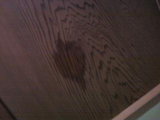 �J�R��łł����V��̐���