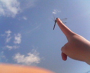 ���������҂���