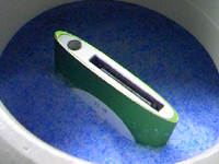 �V���J�Q��