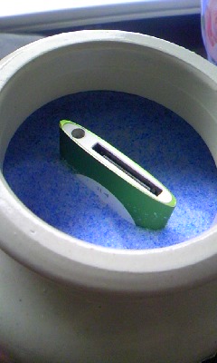 �V���J�Q��