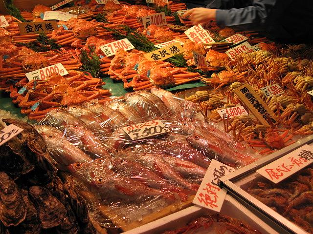 �^�~�̗��s