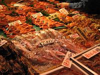 �^�~�̗��s