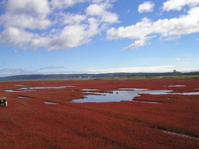 �T���S��