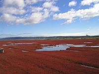 �T���S��