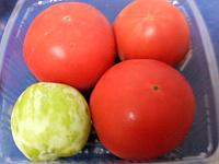 �킩��₷���ԈႢ�T���B