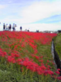 ��̈Ӗ��ŐԂ��B