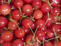 �U������Ҏ�摜