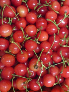 �U������Ҏ�摜