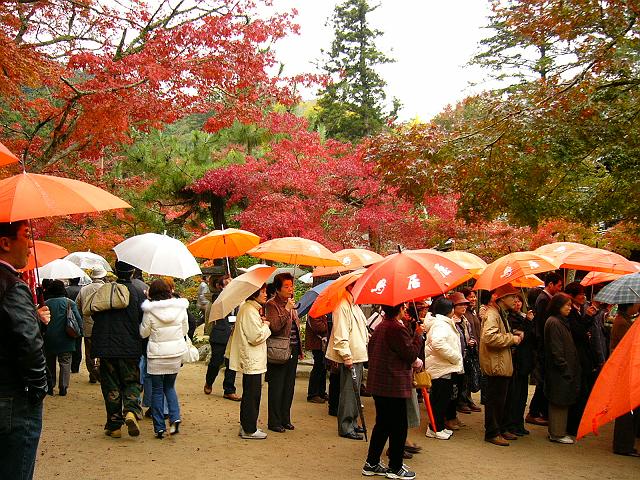 �{�����݂�����