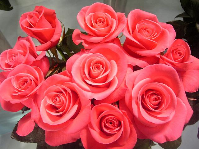 �S���{���K�N�`��