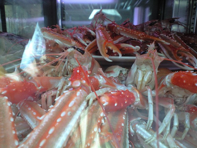 �蒷�G�r�i�����Ă܂����I�j