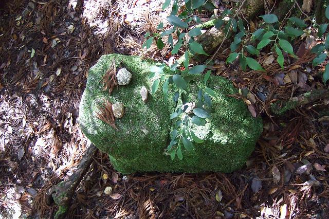 ���v���ɂĊm�F