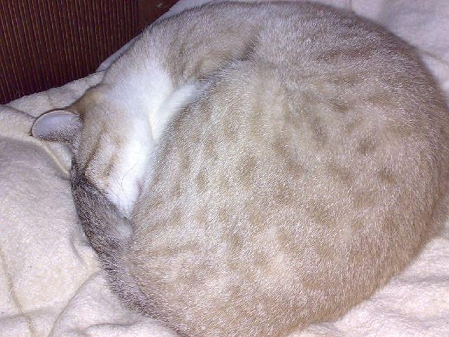 ��̊ۂ��������I