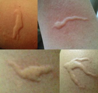 �A�^�V�̃J���_��UMA