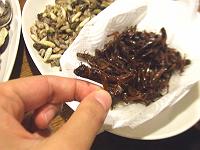 �C�i�S�̑f�g��