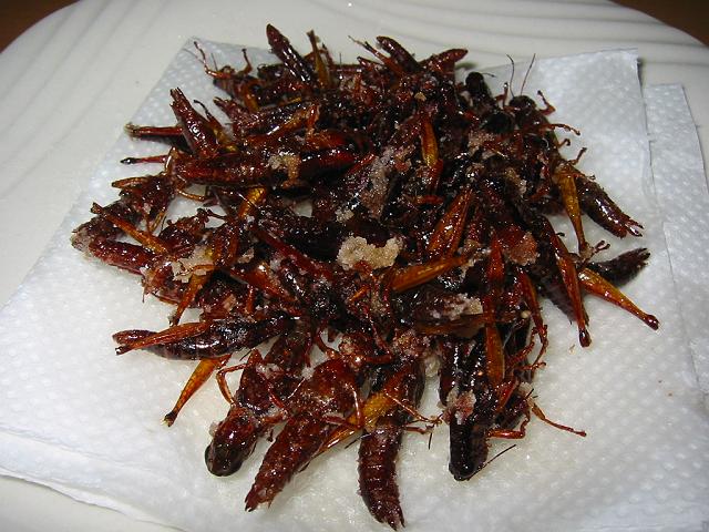 �C�i�S��g�������C�V�ɂȂ�̂ł́H