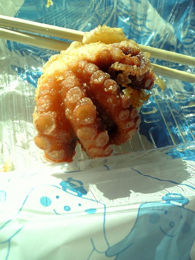 �^�R�̗g����