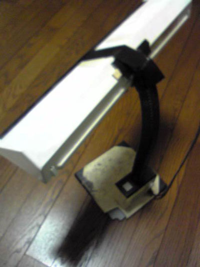 ��T�܂Ō���