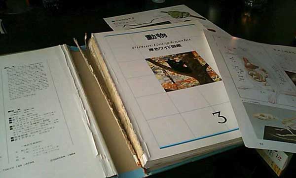 ���S����������Ƃɂ���}�Ӂi���a61�N�@��4�����s�j