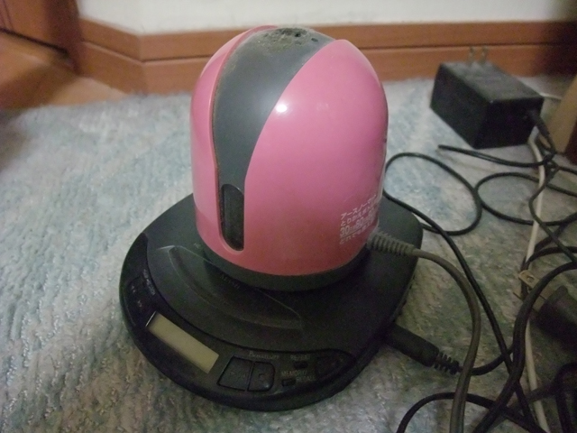 ���̎q�ł�