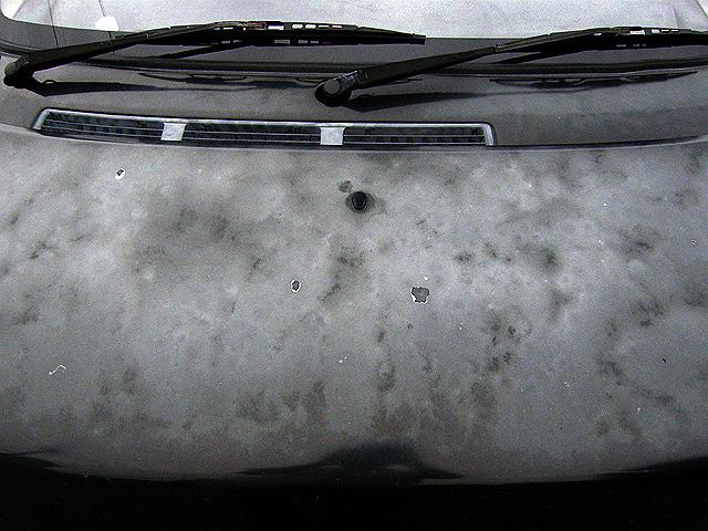 �y�����Ԃ̃{���l�b�g