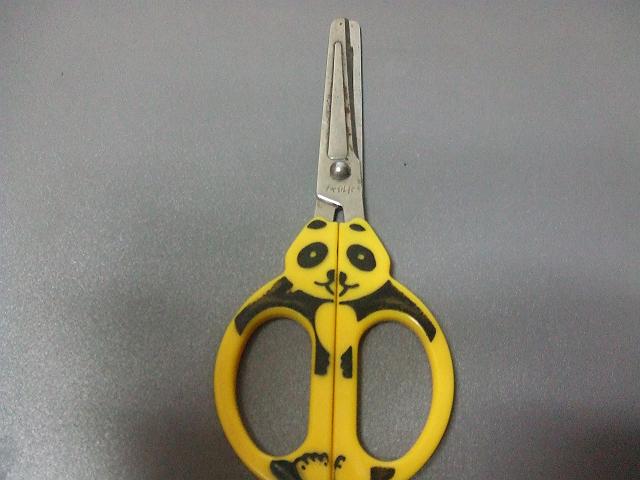 �p���_�͂���