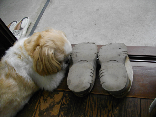 �{���{���ł��c���c��