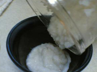 ���i���~�L�T�[��