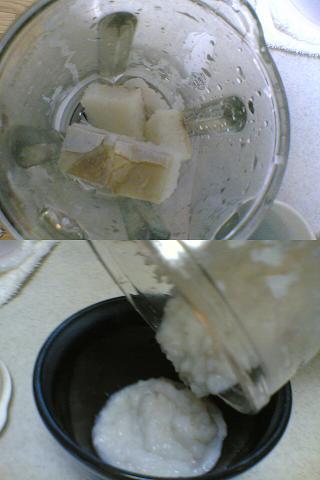 ���i���~�L�T�[��