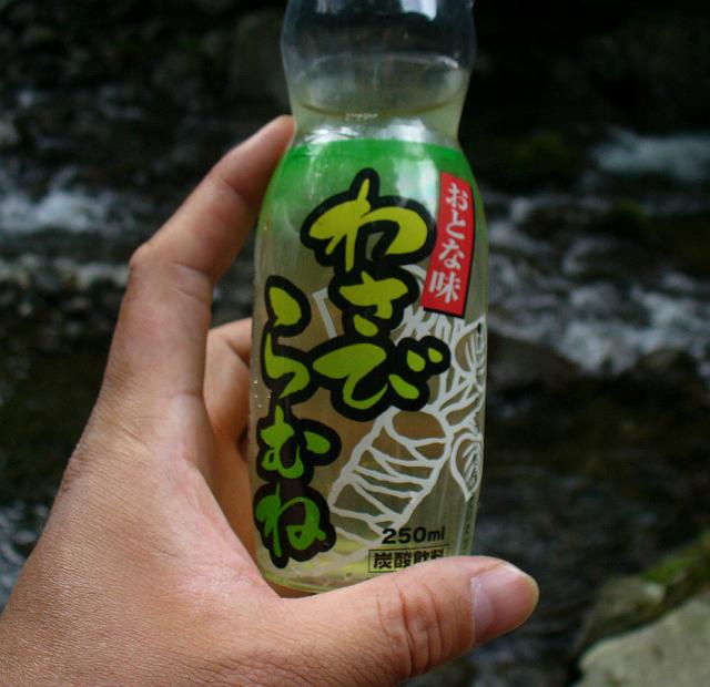 �W���|�l�̈��ݕ�