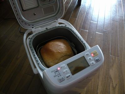 �₫���Ăق��ق�