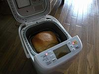 �₫���Ăق��ق�