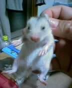 ������5���