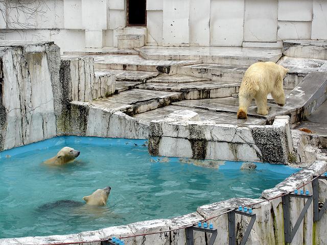 �N�ԃp�X�����Ă܂���