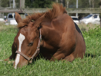 �S�Ă̊p�x�ł��킢��