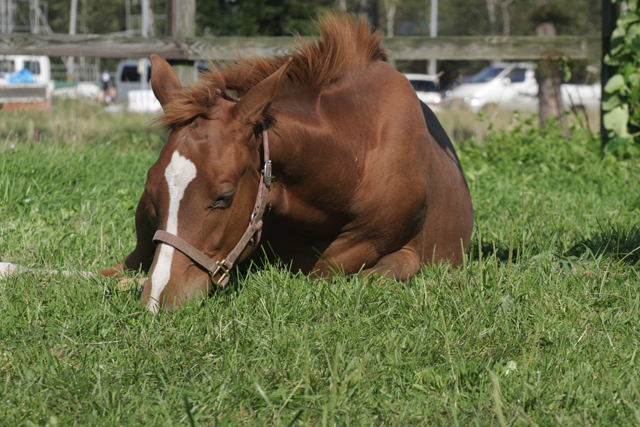 �S�Ă̊p�x�ł��킢��