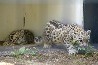 �ǂ��s���́H