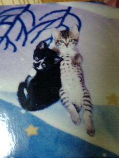 ����13�΂̂�������L